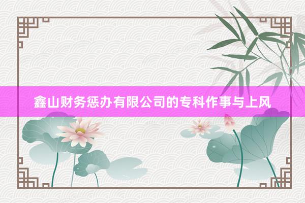 鑫山财务惩办有限公司的专科作事与上风