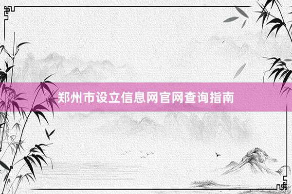 郑州市设立信息网官网查询指南