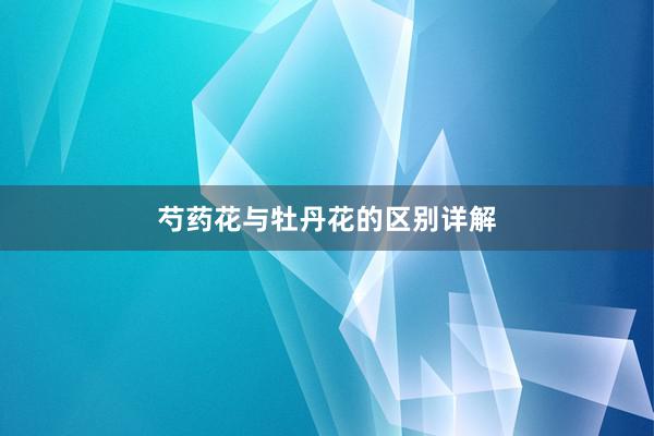 芍药花与牡丹花的区别详解