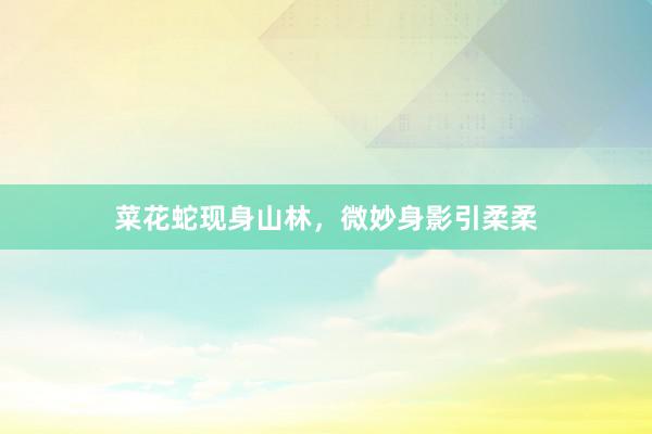 菜花蛇现身山林，微妙身影引柔柔